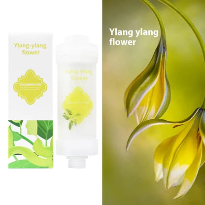 Complete Discovery Set